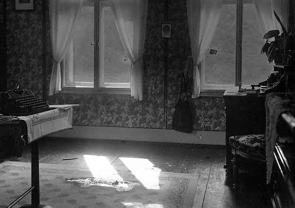 Pracovn pokoj dr. Lessinga ve 2. pate vily Edelweiss dne po vrad 31.VIII.1933