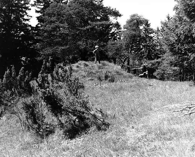 Kopeek po zanikl Davidov hvzdrn na Braniovskm vrchu (Hoherstein - 813 m n.m.)